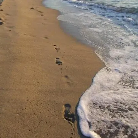 2 Personnes Proche Et Commerces - 2phoe504 Canet-en-Roussillon