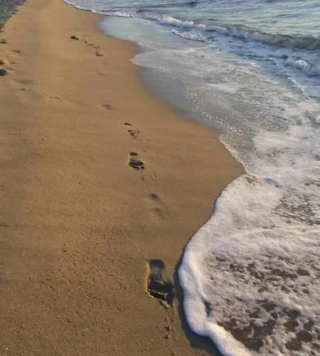 2 Personnes Proche Et Commerces - 2phoe504 카네트